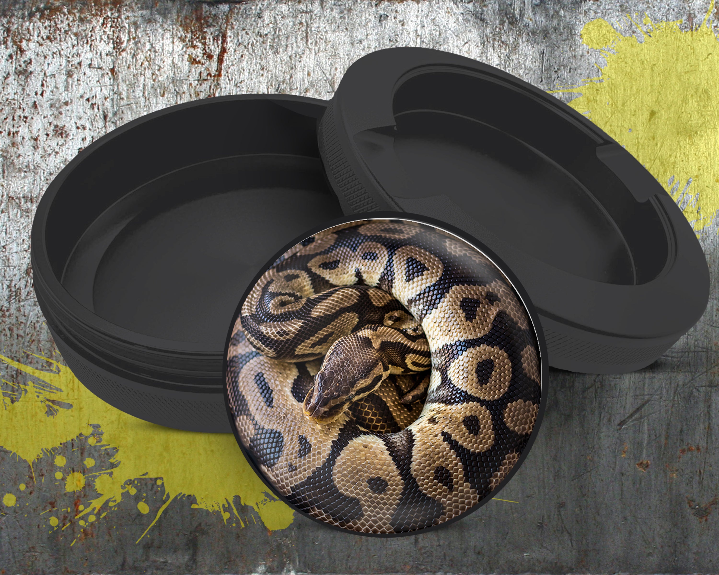 Ball Python Snake Coiled Up Snus Storage Case Bottle Opener