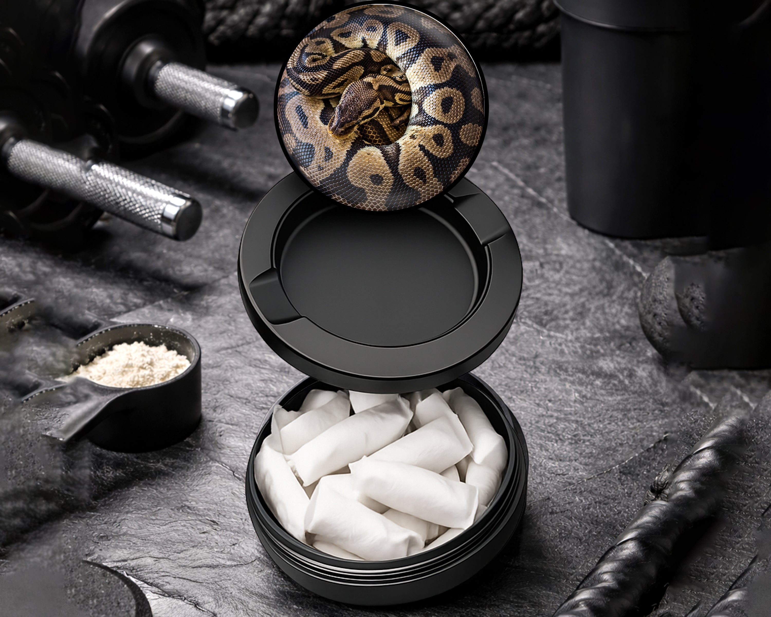 Snus Storage Case Ball Python Snake Coiled Up Black