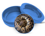 Ball Python Snake Coiled Up Snus Storage Case Blue