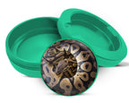 Green Ball Python Snake Coiled Up Snus Storage Case