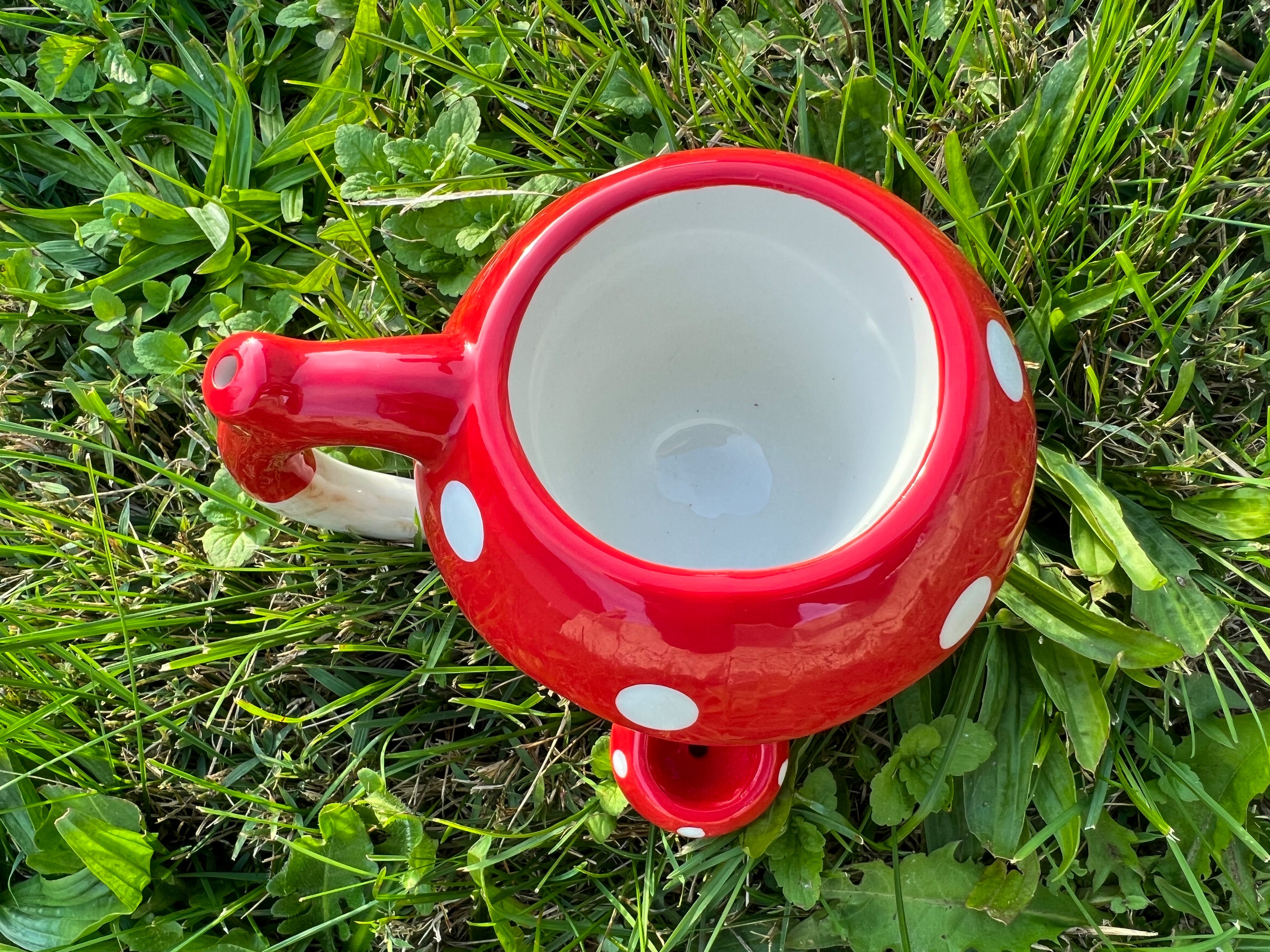 Mystic Mushroom Ceramic Mug | Dual-Chamber Novelty Drinkware with Sculpted Handle Design