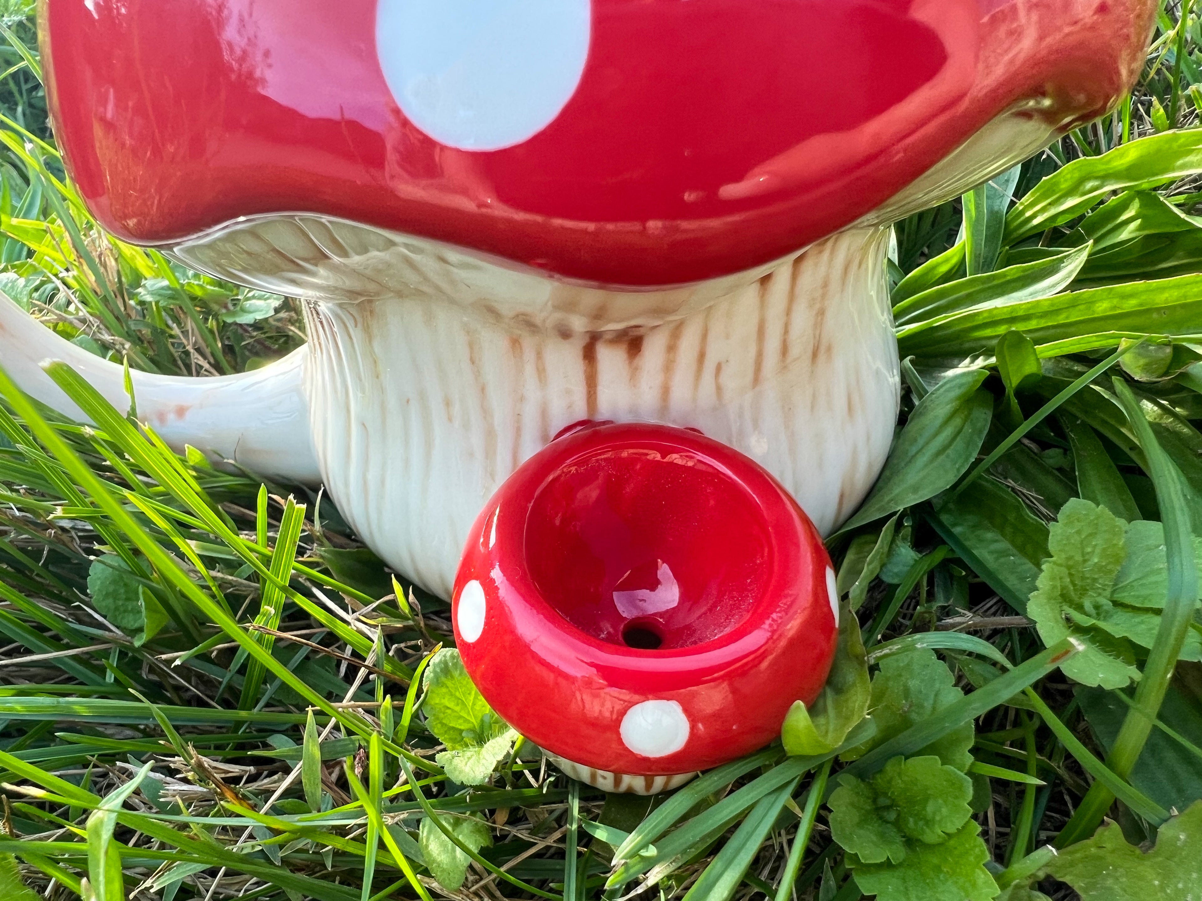 Mystic Mushroom Ceramic Mug | Dual-Chamber Novelty Drinkware with Sculpted Handle Design