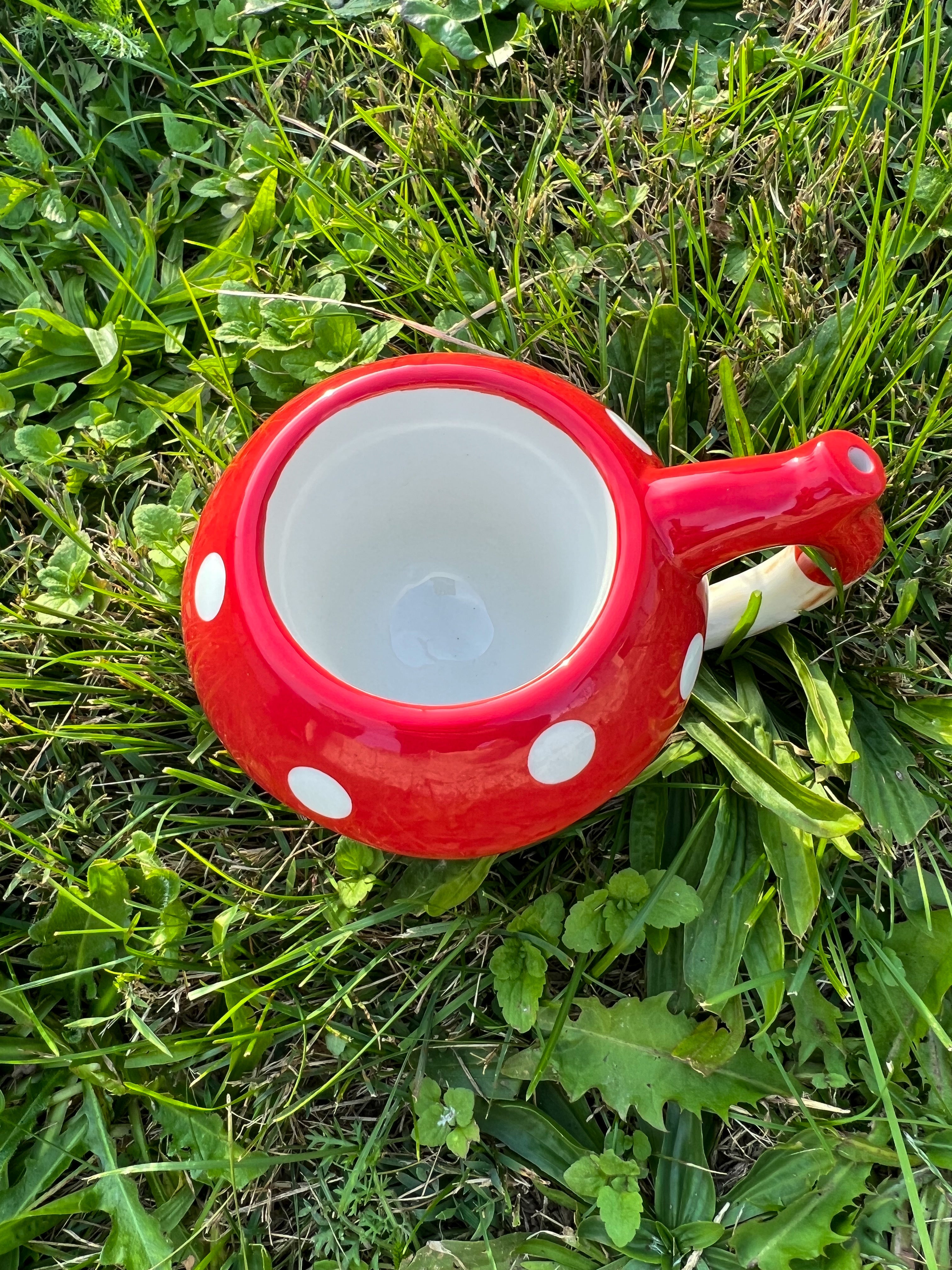 Mystic Mushroom Ceramic Mug | Dual-Chamber Novelty Drinkware with Sculpted Handle Design