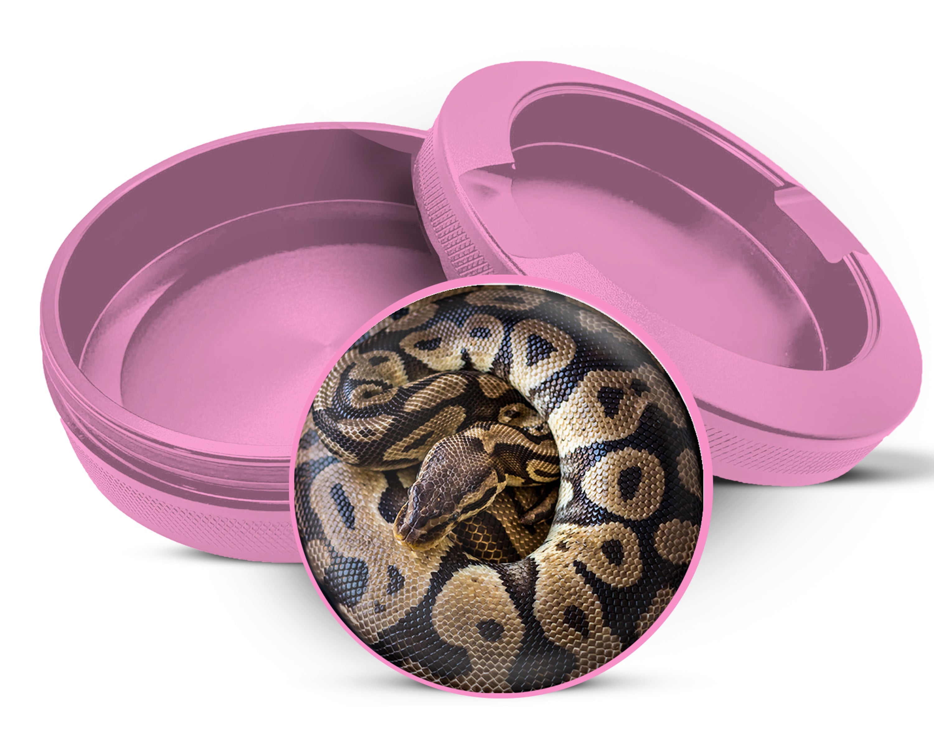 Ball Python Snake Coiled Up Snus Storage Case Pink