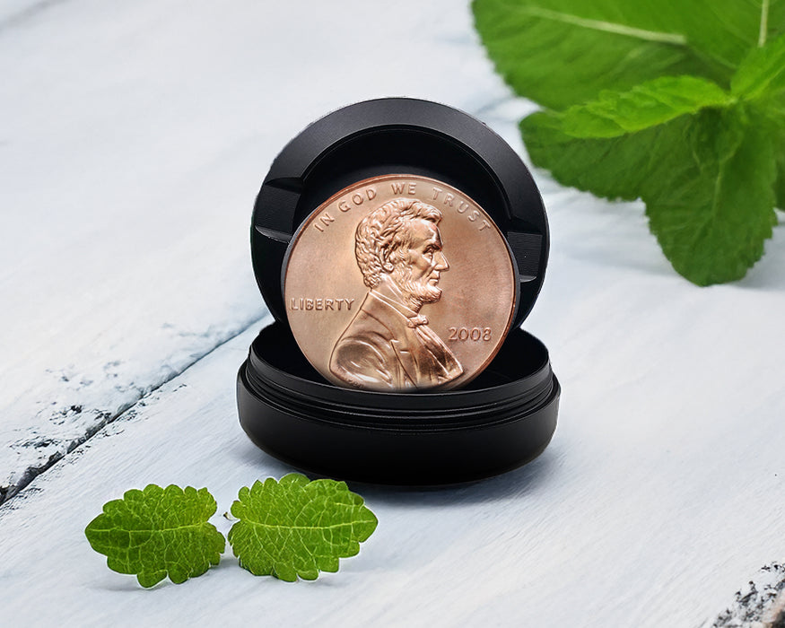 Zyn Storage Case Penny For Your Thoughts Black