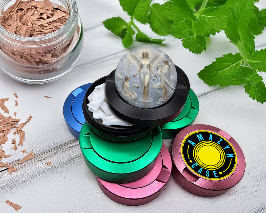 Zyn Storage Case Celestial Swan Lake Angels Black