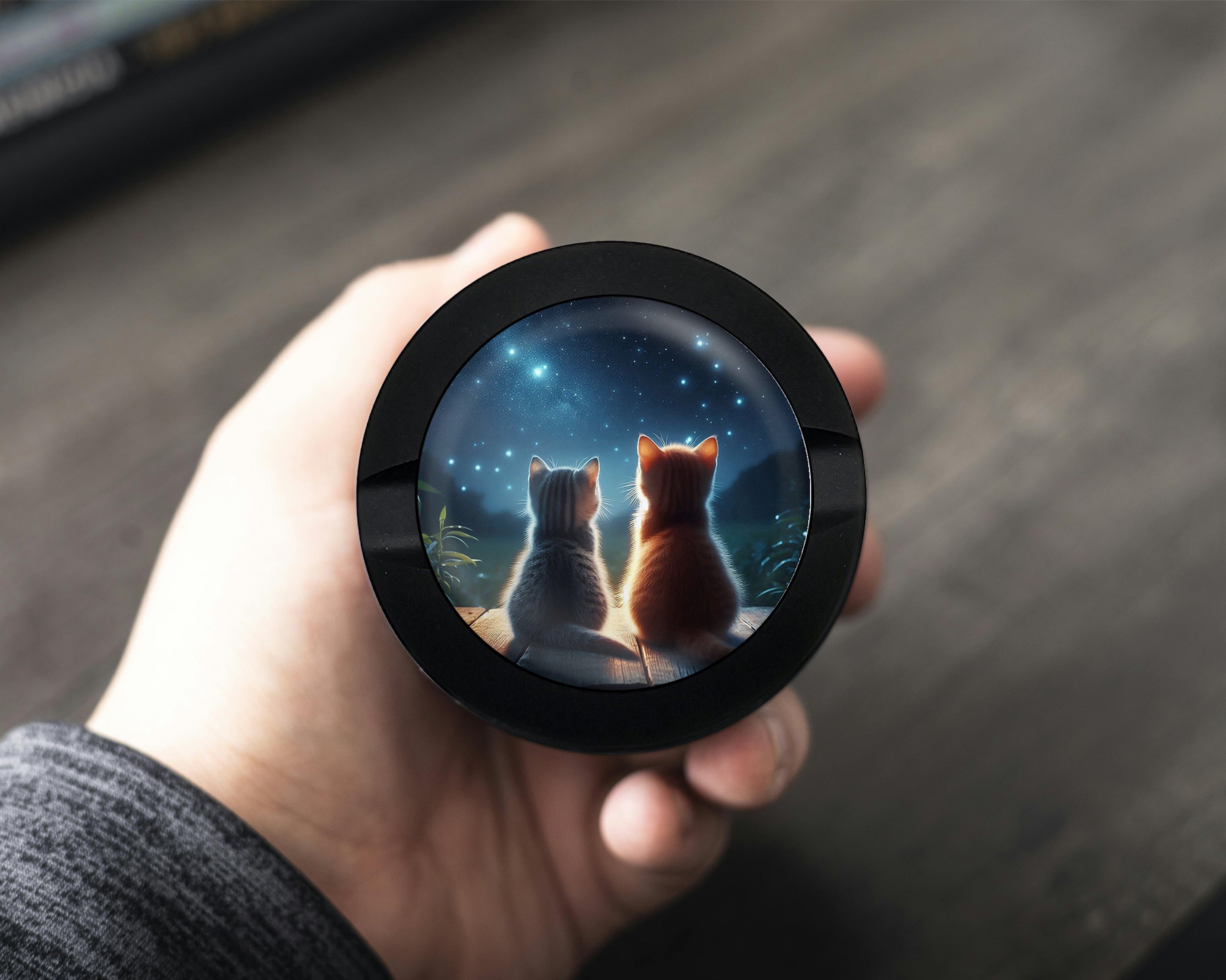 Cute Cats Staring At The Night Snus Storage Case Bottle Opener