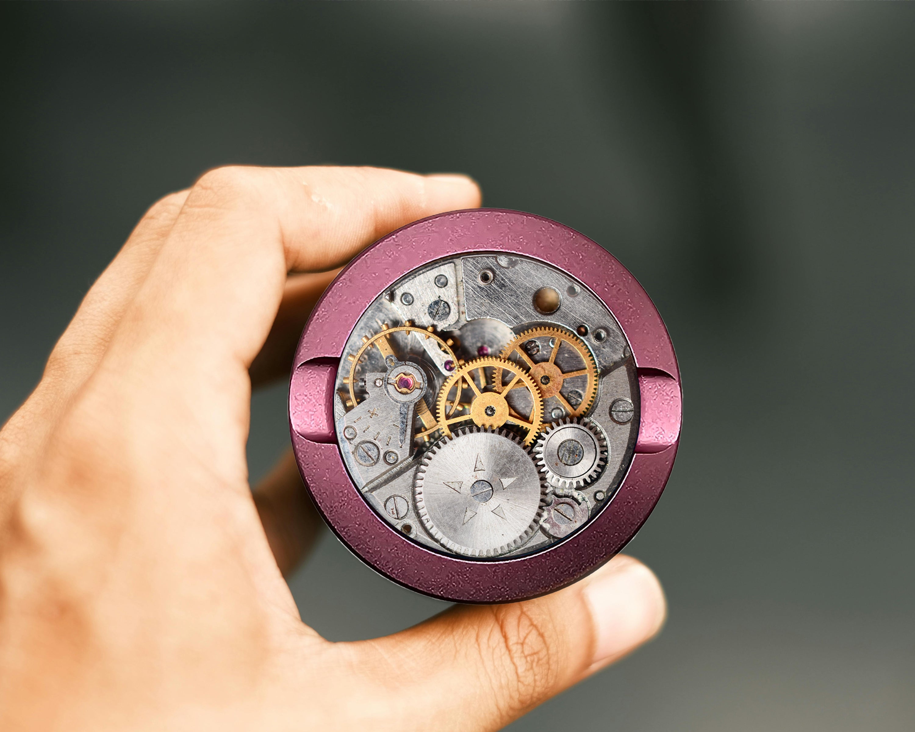 Steampunk Clockwork Snus Storage Case Pink