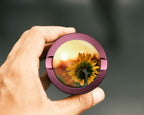 Sunflower Snus Storage Case Pink