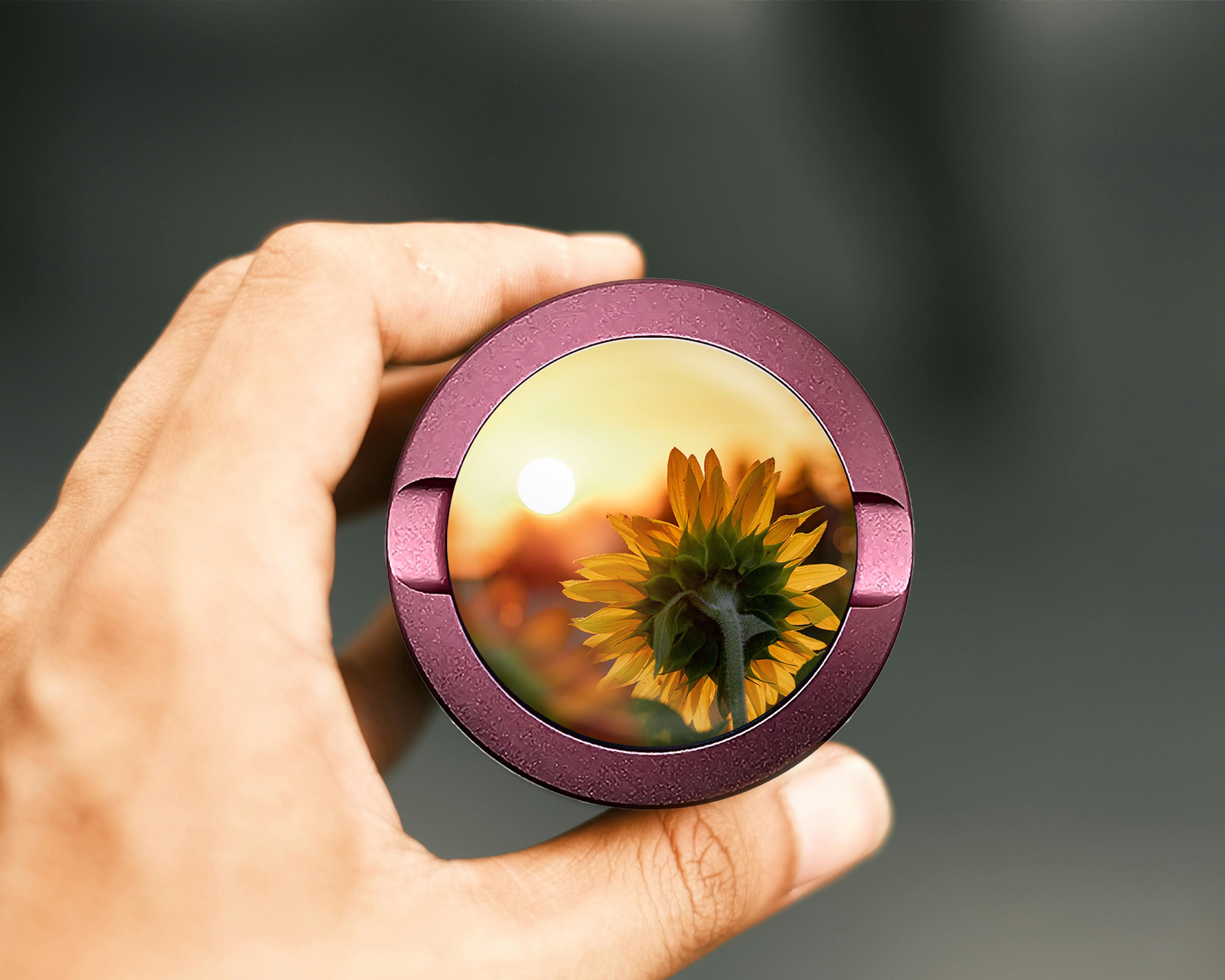 Sunflower Snus Storage Case Pink