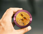 Bees on A Honeycomb Snus Storage Case Pink